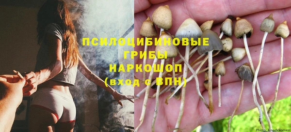 прущие крисы Алзамай