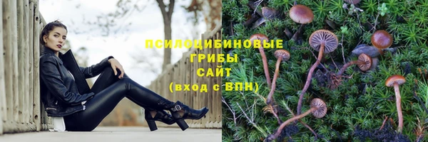 дурь Алексеевка