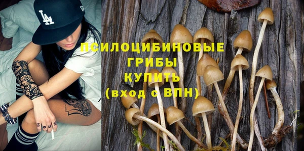 прущий лед Алексин