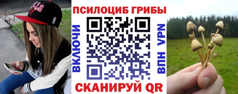 Псилоцибиновые грибы Psilocybine cubensis  цена наркотик  Белозерск 